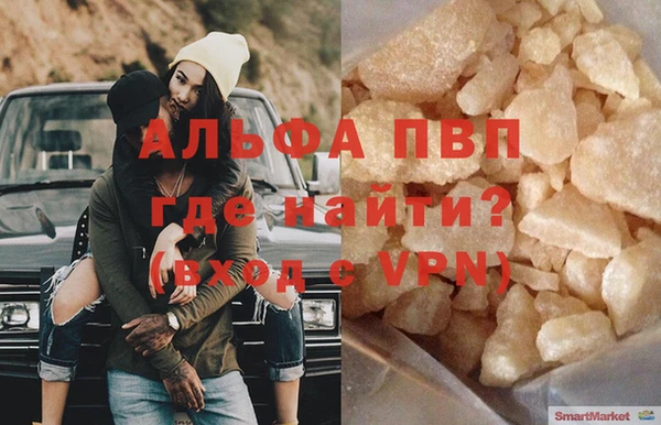 прущие грибы Пестово