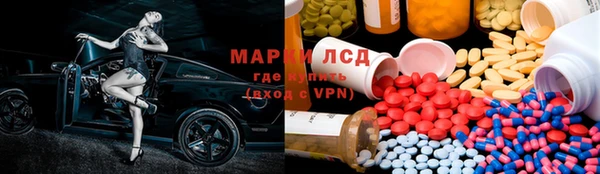 прущие грибы Пестово