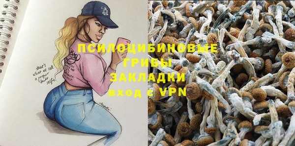 прущие грибы Пестово