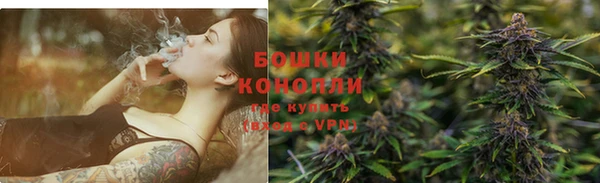 прущие грибы Пестово