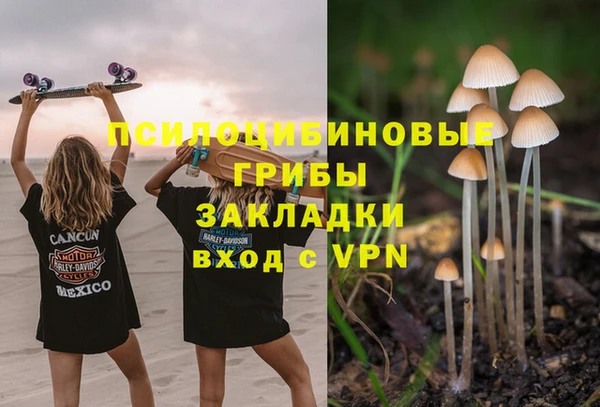 мескалин Переславль-Залесский