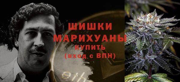 прущие грибы Пестово