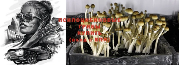 кокаин премиум Пересвет