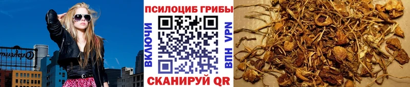 мега как войти  Усмань  Псилоцибиновые грибы мицелий 
